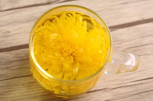 金丝皇菊是去火的吗 喝金丝皇菊对眼睛有好处吗
