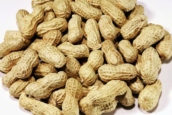 男子试吃花生被制止半夜偷走150斤 花生怎么煮好吃又入味