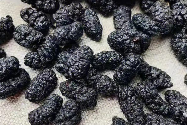 桑葚茶适合白天还是晚上喝 桑葚茶什么时候喝最好